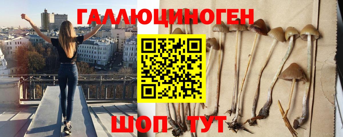 Псилоцибиновые грибы MAGIC MUSHROOMS Жигулёвск