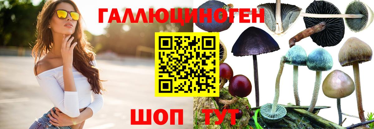 Жигулёвск  Галлюциногенные грибы Psilocybe  Вход с VPN  Галлюциногенные грибы Psilocybe 